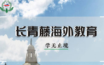意大利語常見諺語